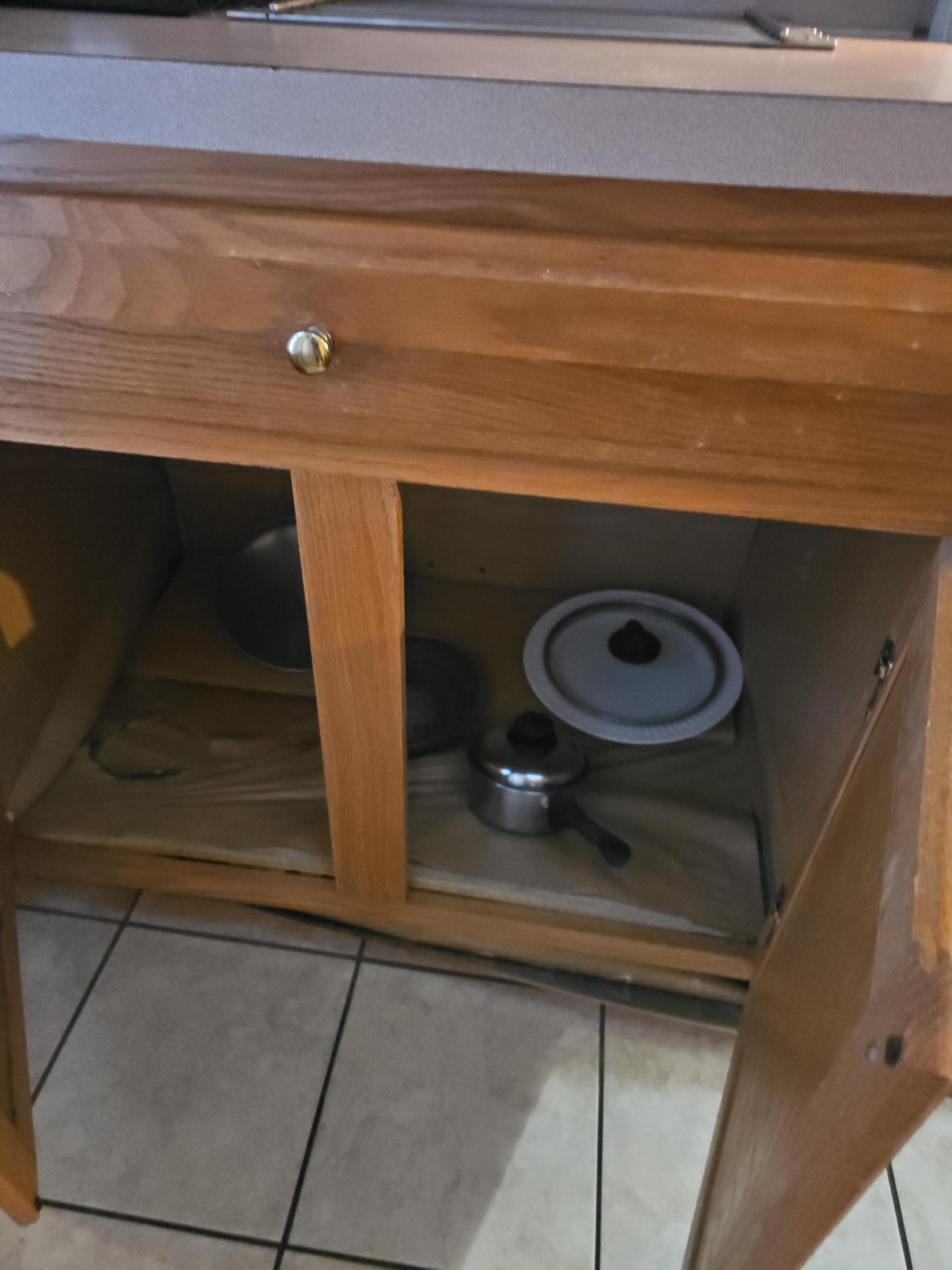 Mold under the counter and the cabinets were sinking in.