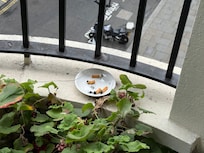 Prior guest cigs