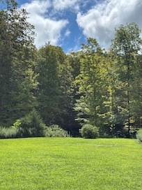 View from the yurt deck