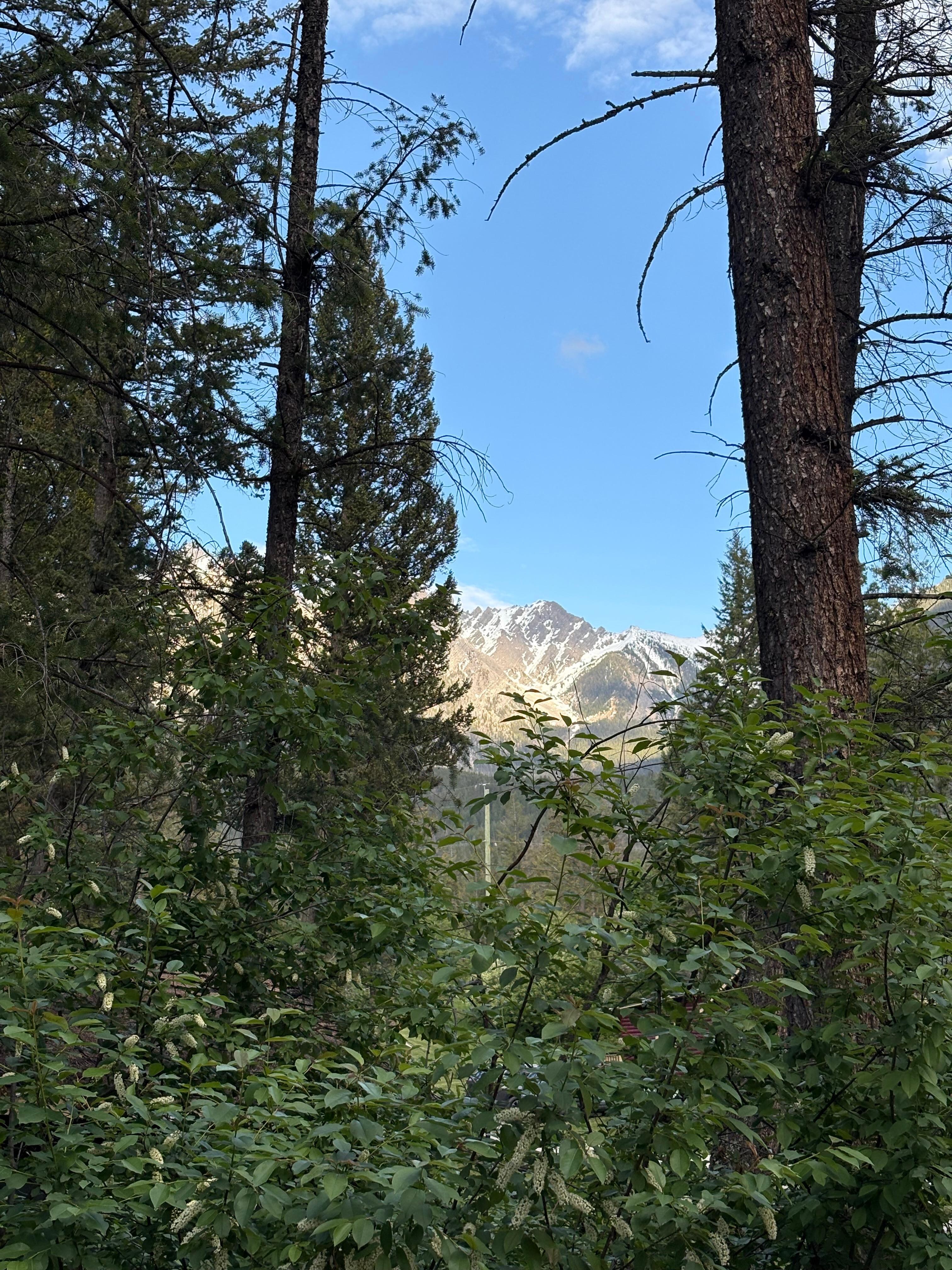 View outside cabin 