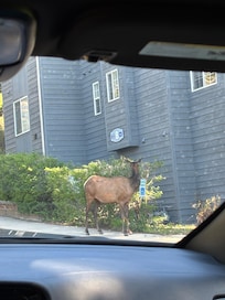 Nice to see the neighbors.