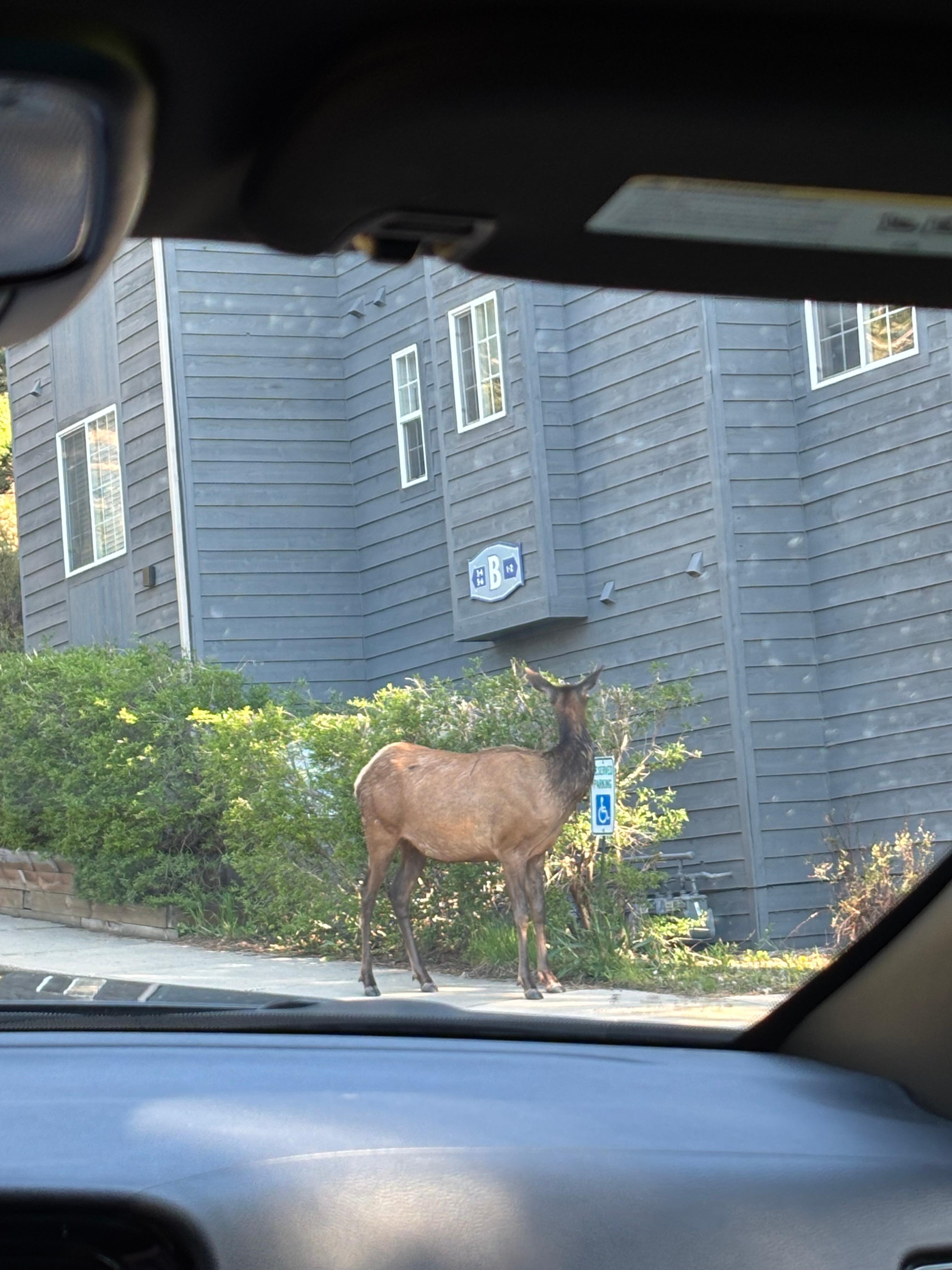 Nice to see the neighbors. 
