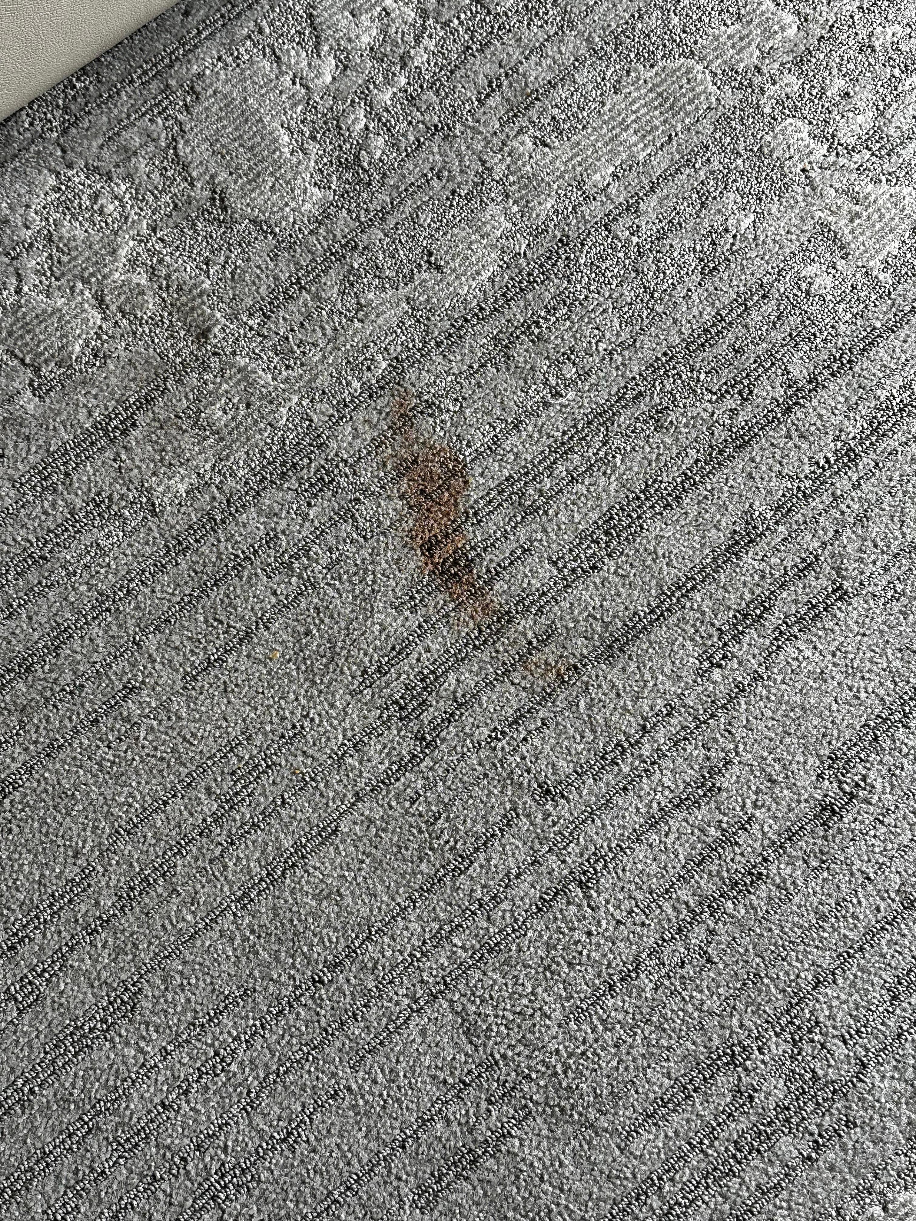 Carpet stains but looked more like blood. 
