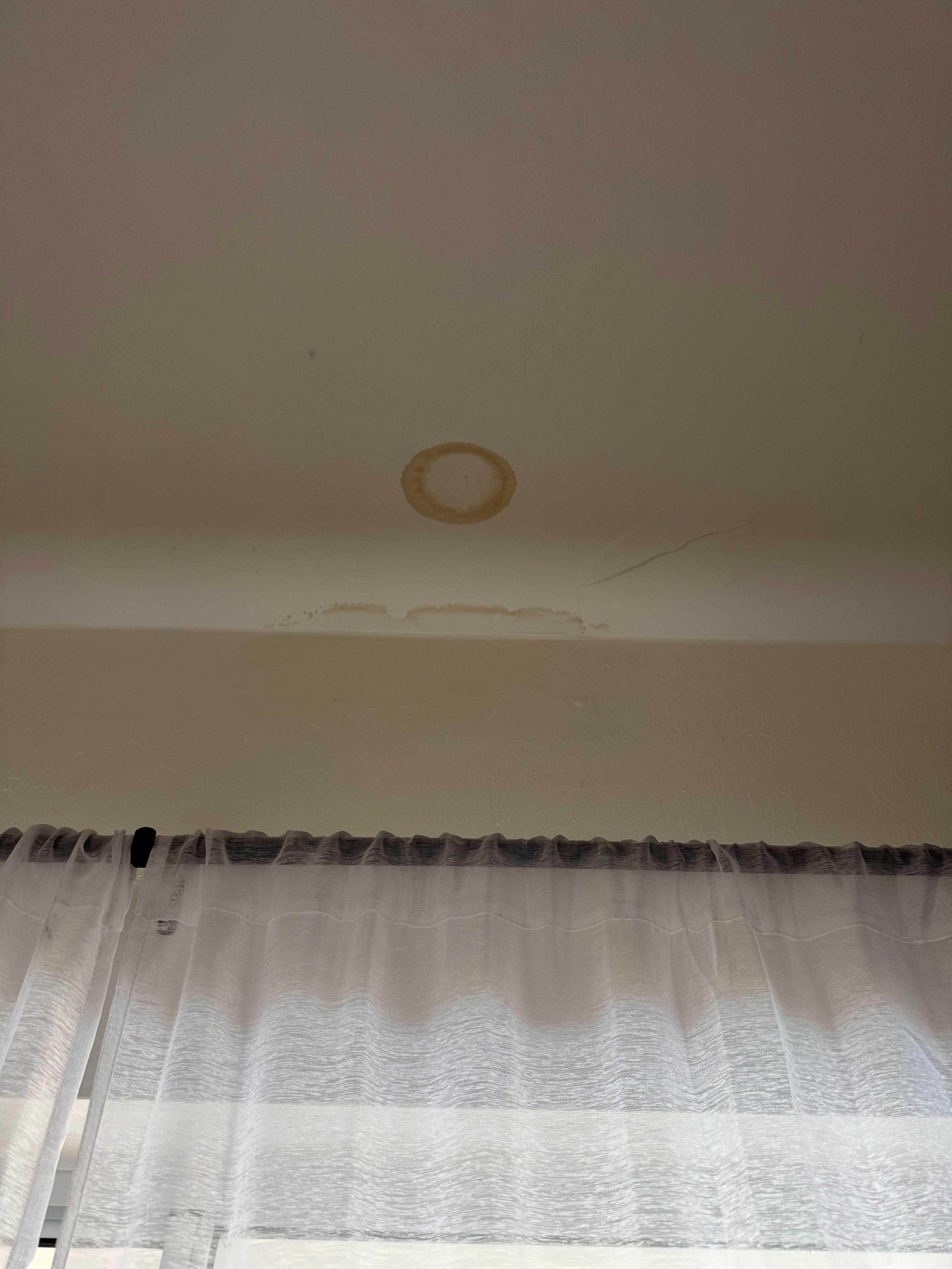 Water spots in ceiling