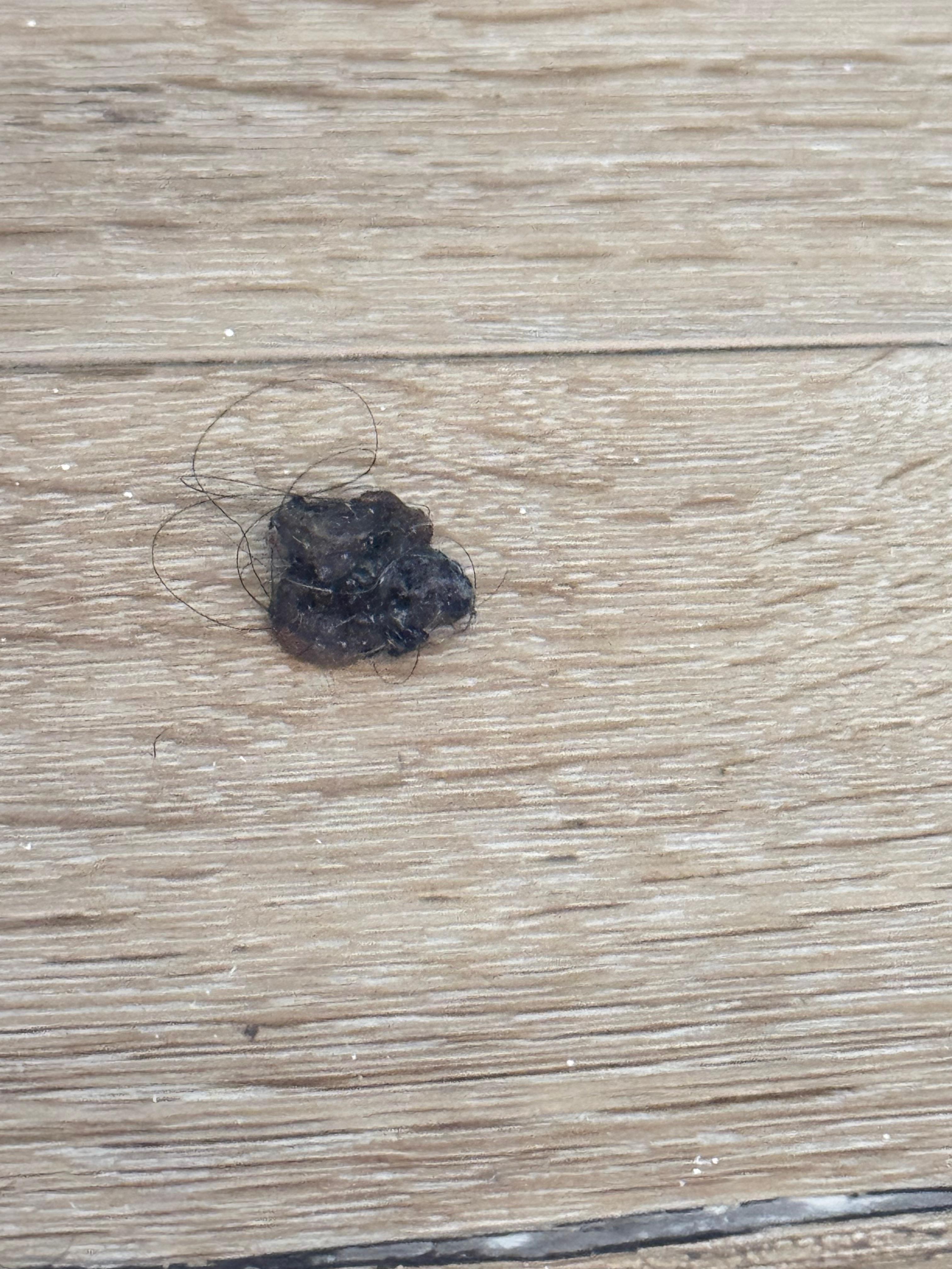 Sticky item on floor by front door