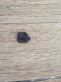 Sticky item on floor by front door