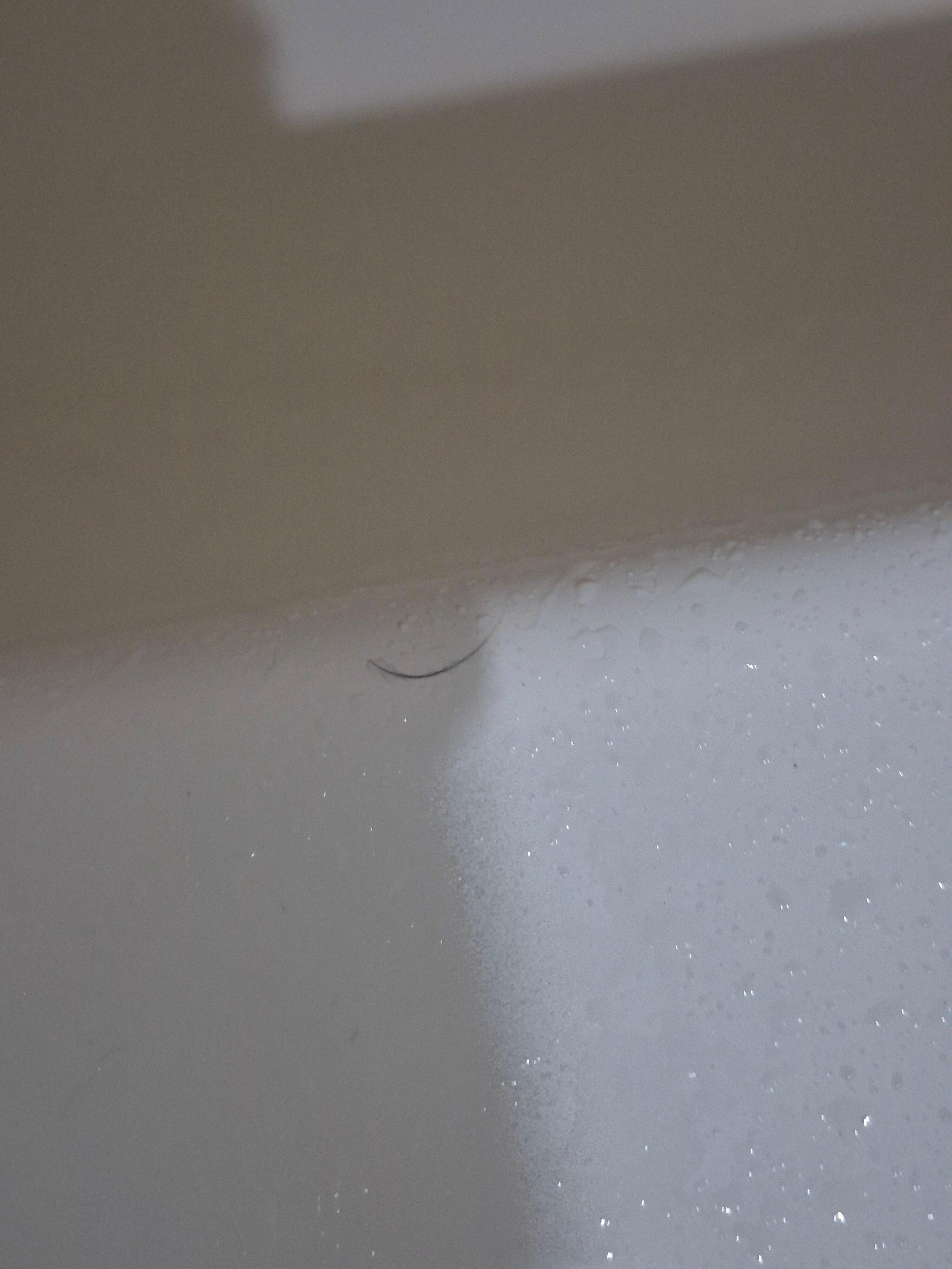 Hair in bath tub
