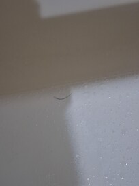 Hair in bath tub