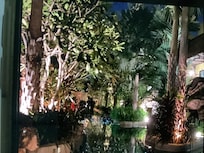 Garden pool at night.
