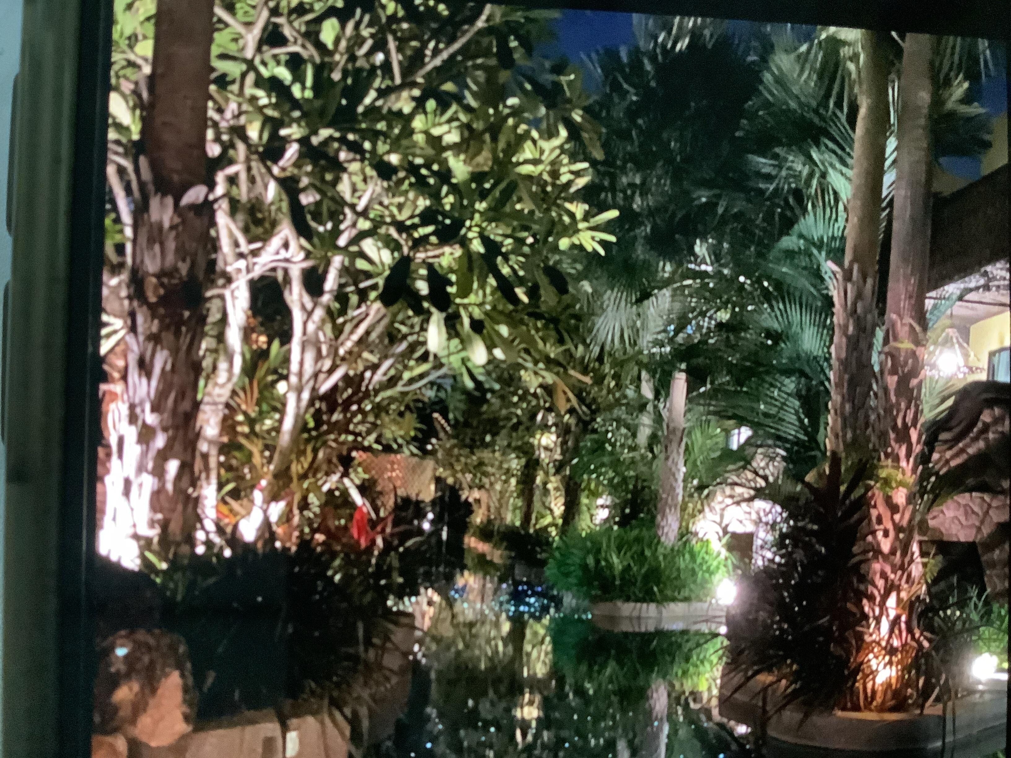 Garden pool at night.