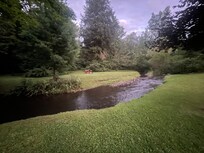 Brook and yard
