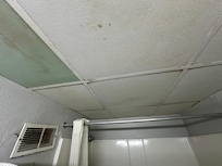 Moldy Ceiling