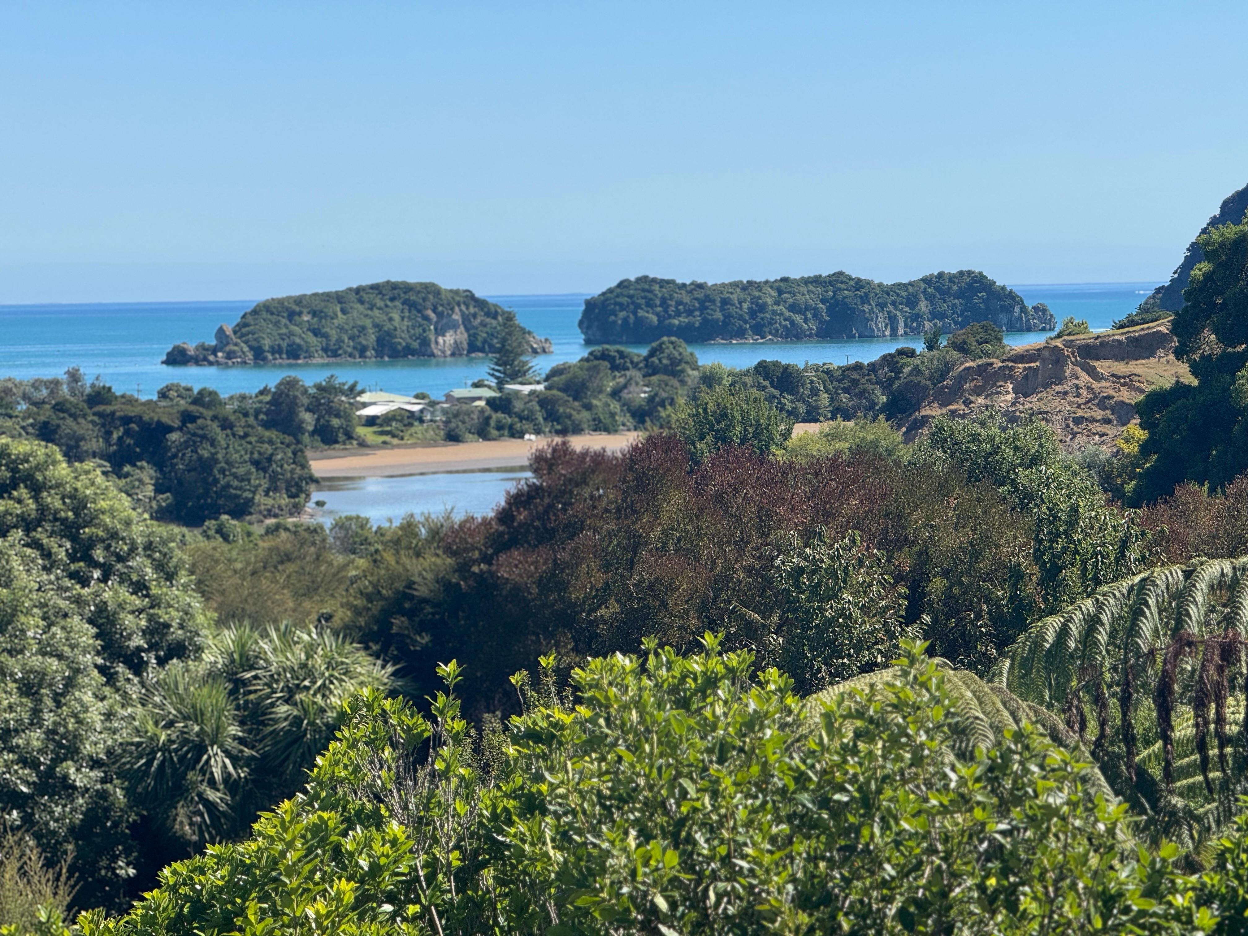 View from terrace looking right