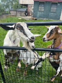 Friends made during our stay.