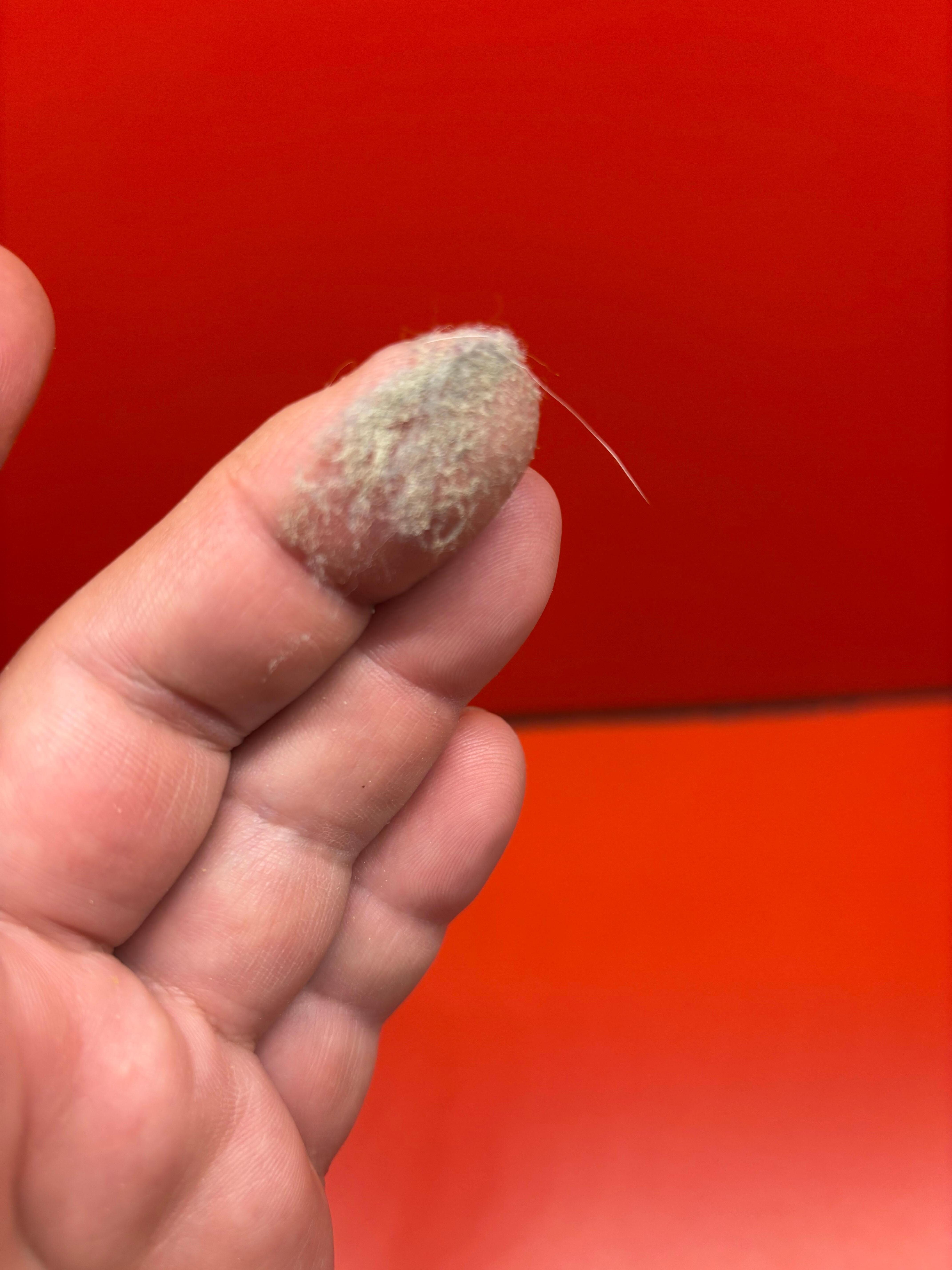 Dust and hair. Cleaning is more than wiping down the counter. 