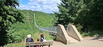 Geierlay hangbrug