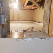 Mouse traps and dropping