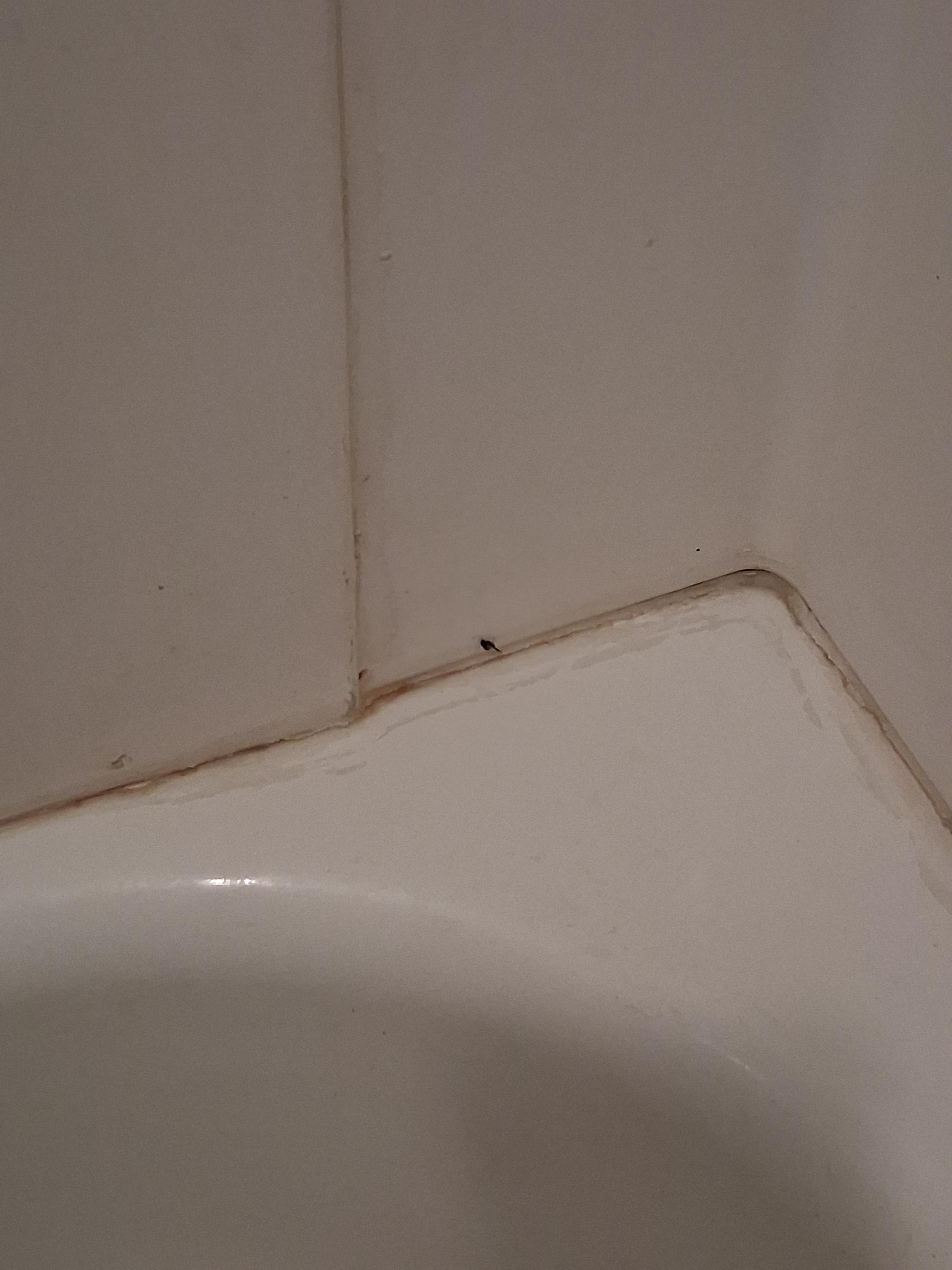 Moldly dirty looking