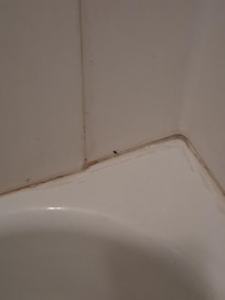 Moldly dirty looking