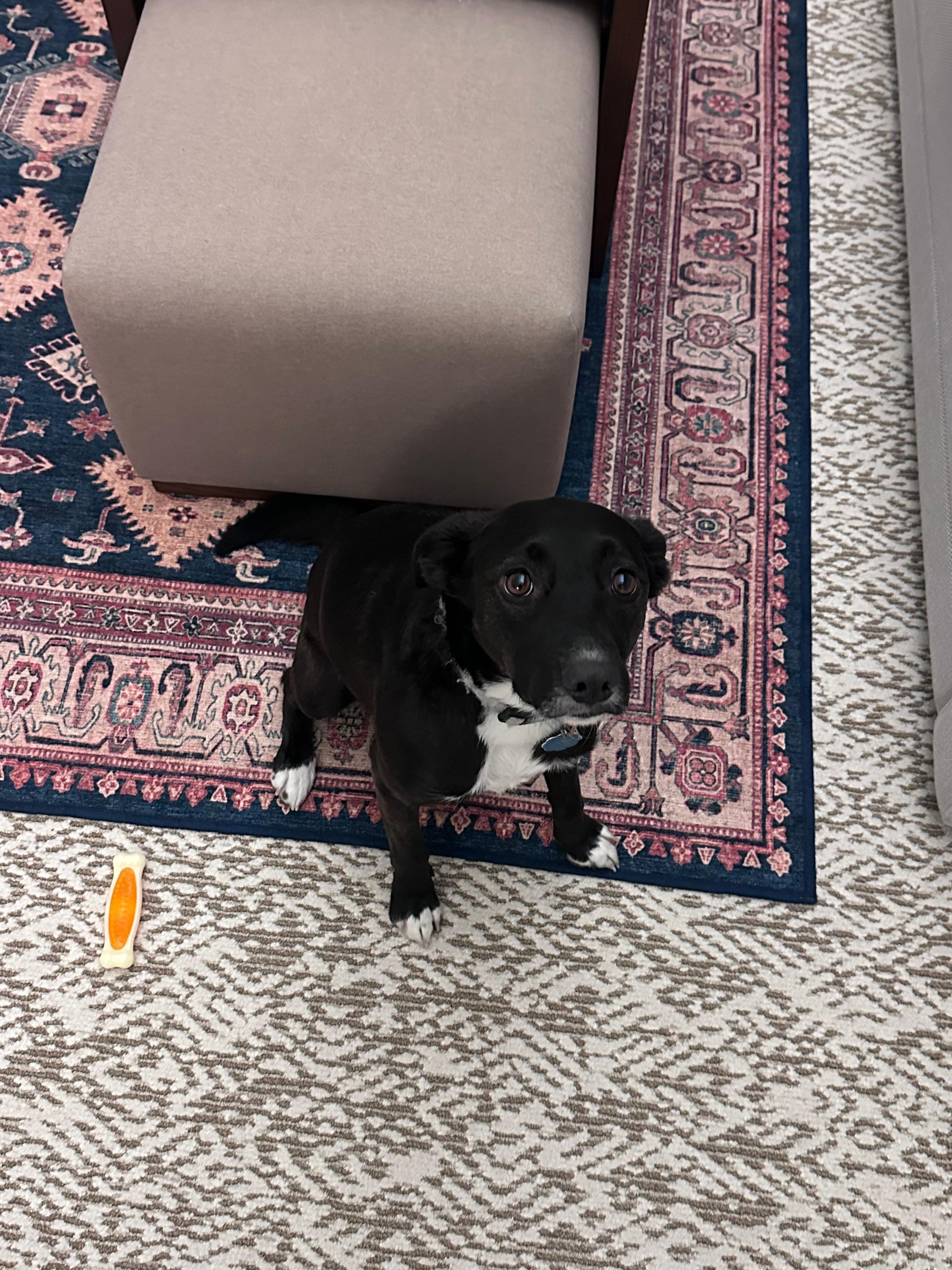 They even gave her a bone~