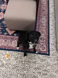 They even gave her a bone~