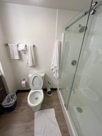 Bathroom upon entering room