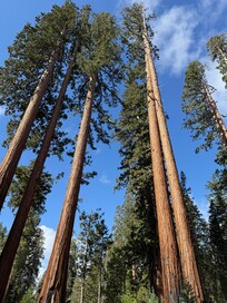 Yosemite