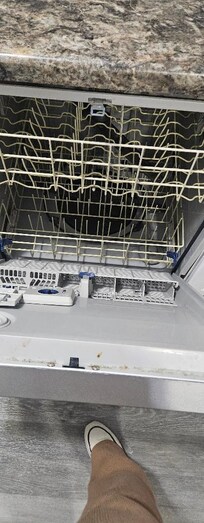 The Dishwasher