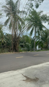 View from the Front of Hotel looking straight at the river