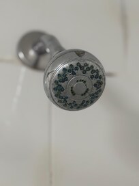 Green stuff growing on shower head