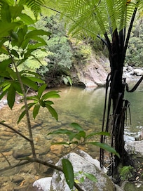 Beautiful nearby swimming hole