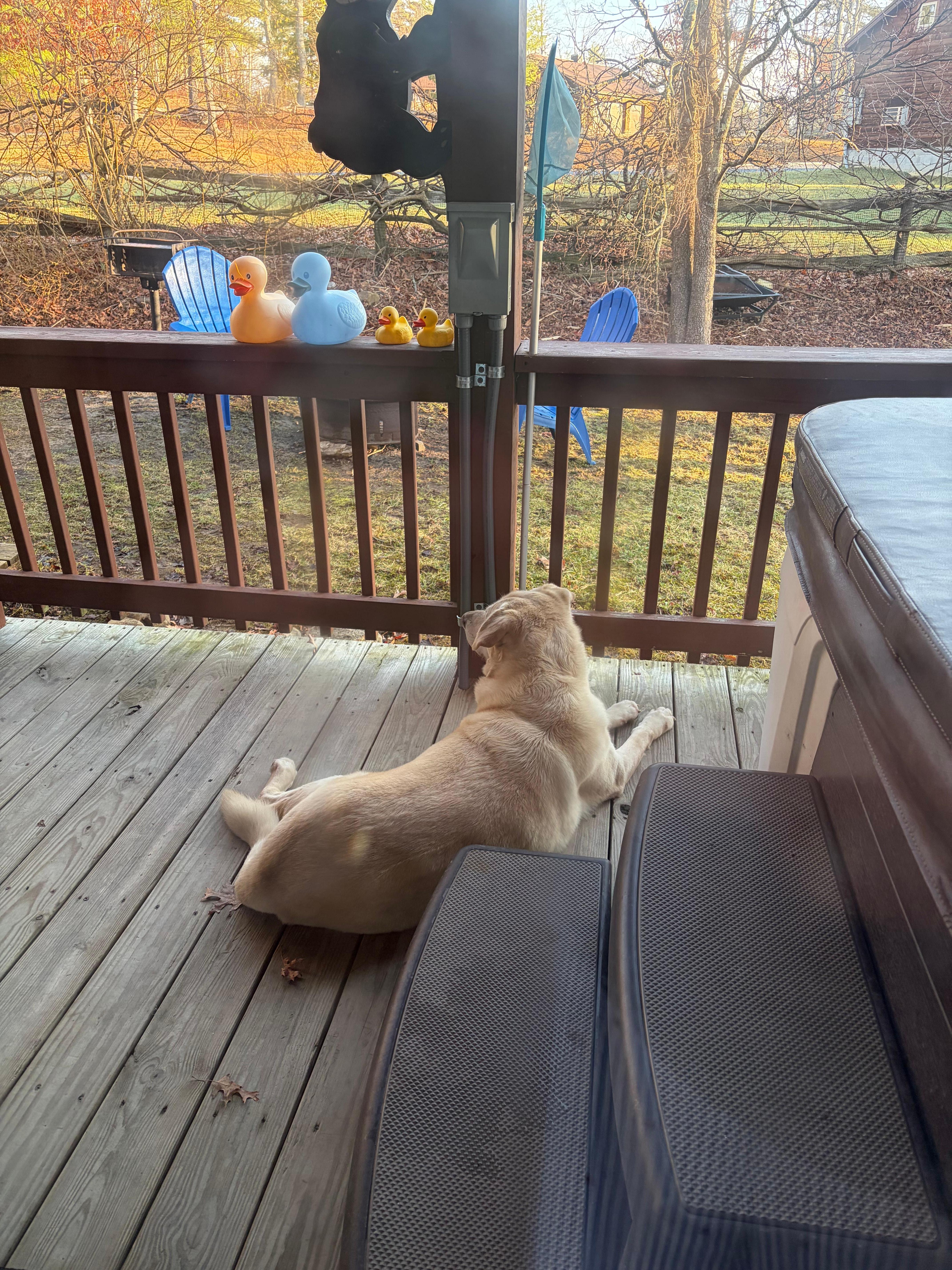 Enclosed back porch by hot tub. 