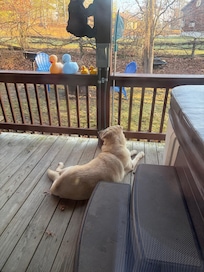 Enclosed back porch by hot tub.