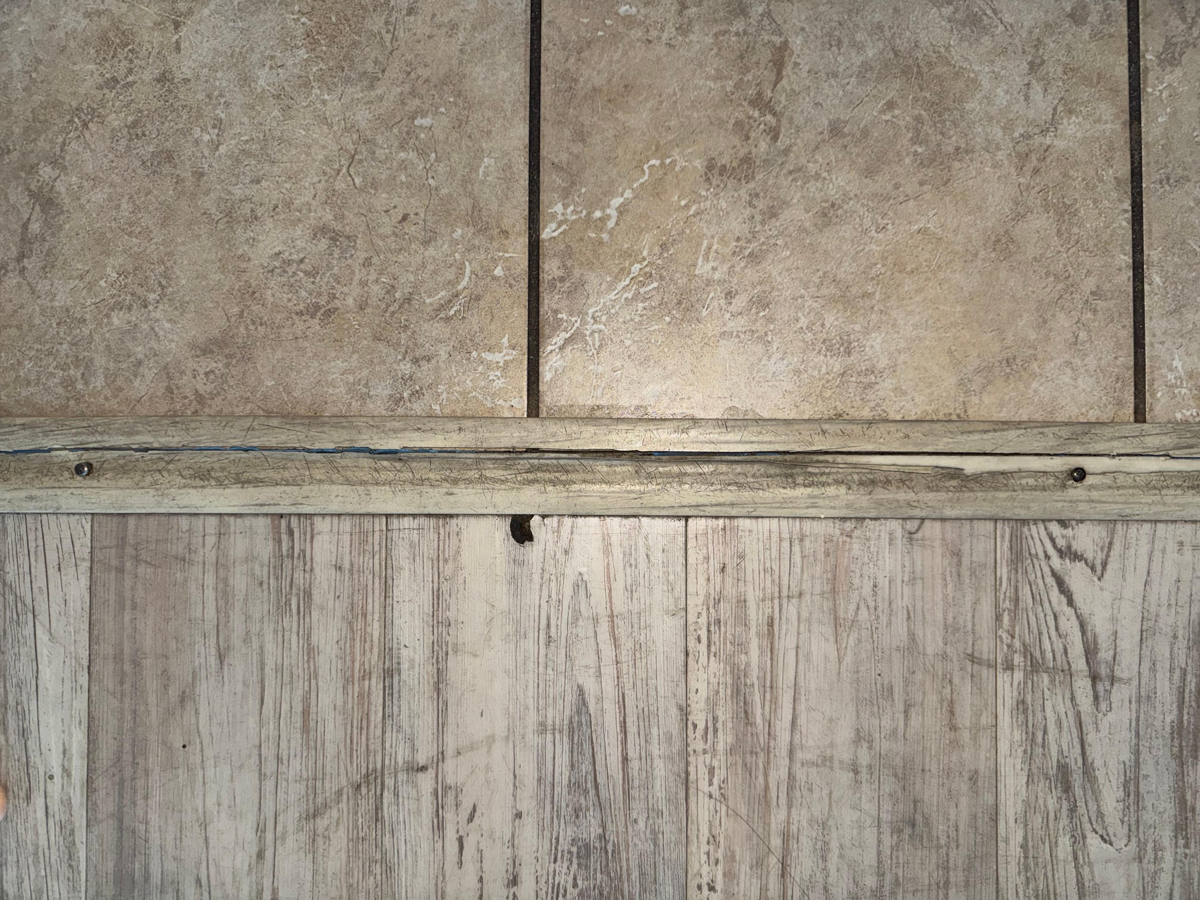 Transitional piece from kitchen floor to living room.  Broken and busted - cut my sons foot open 