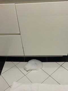 Suds from the shower sometimes popped up in front of bathroom sink