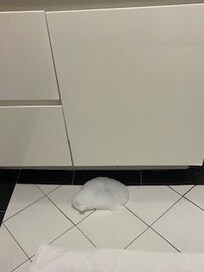 Suds from the shower sometimes popped up in front of bathroom sink