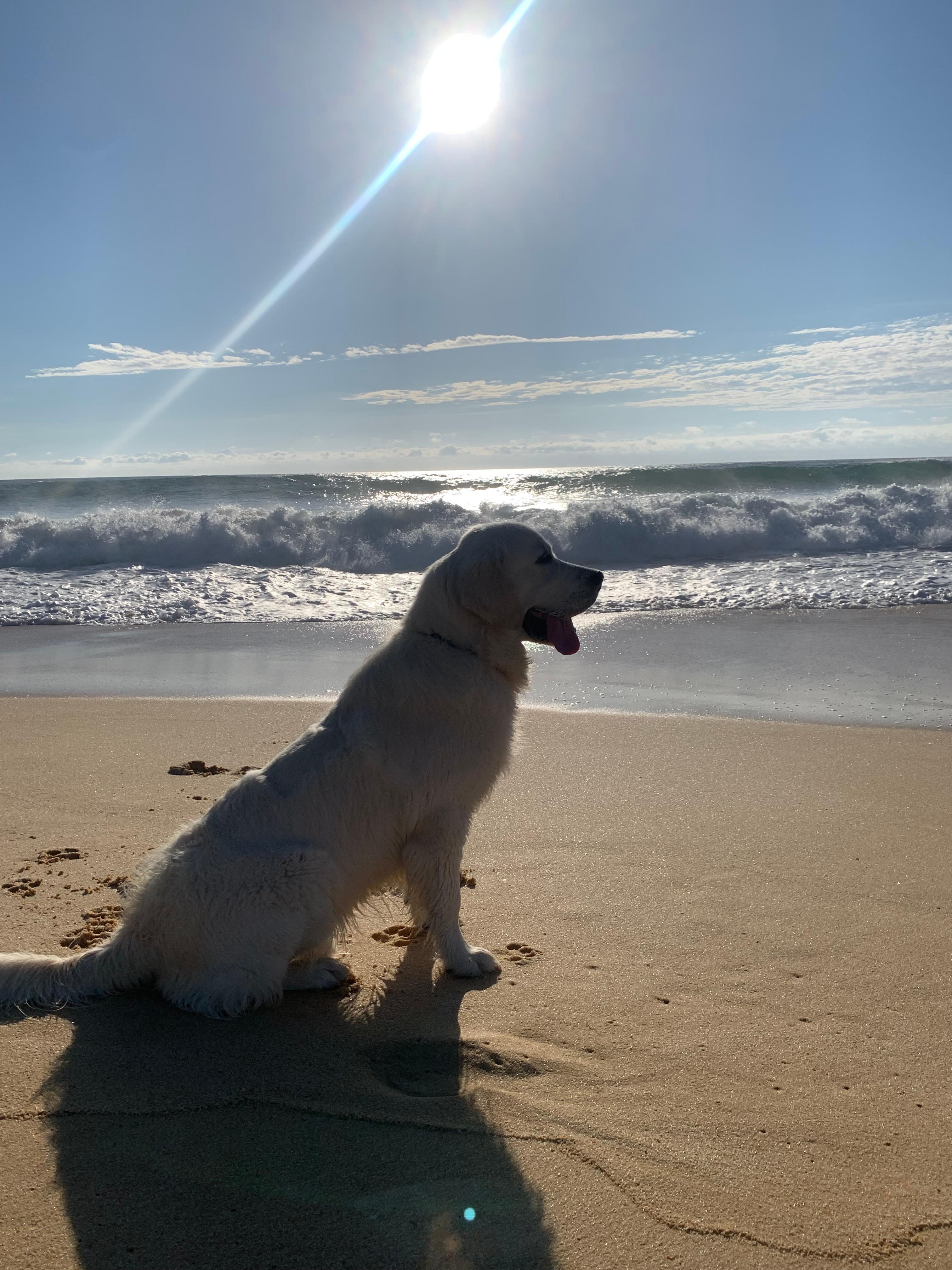 During the beach visit