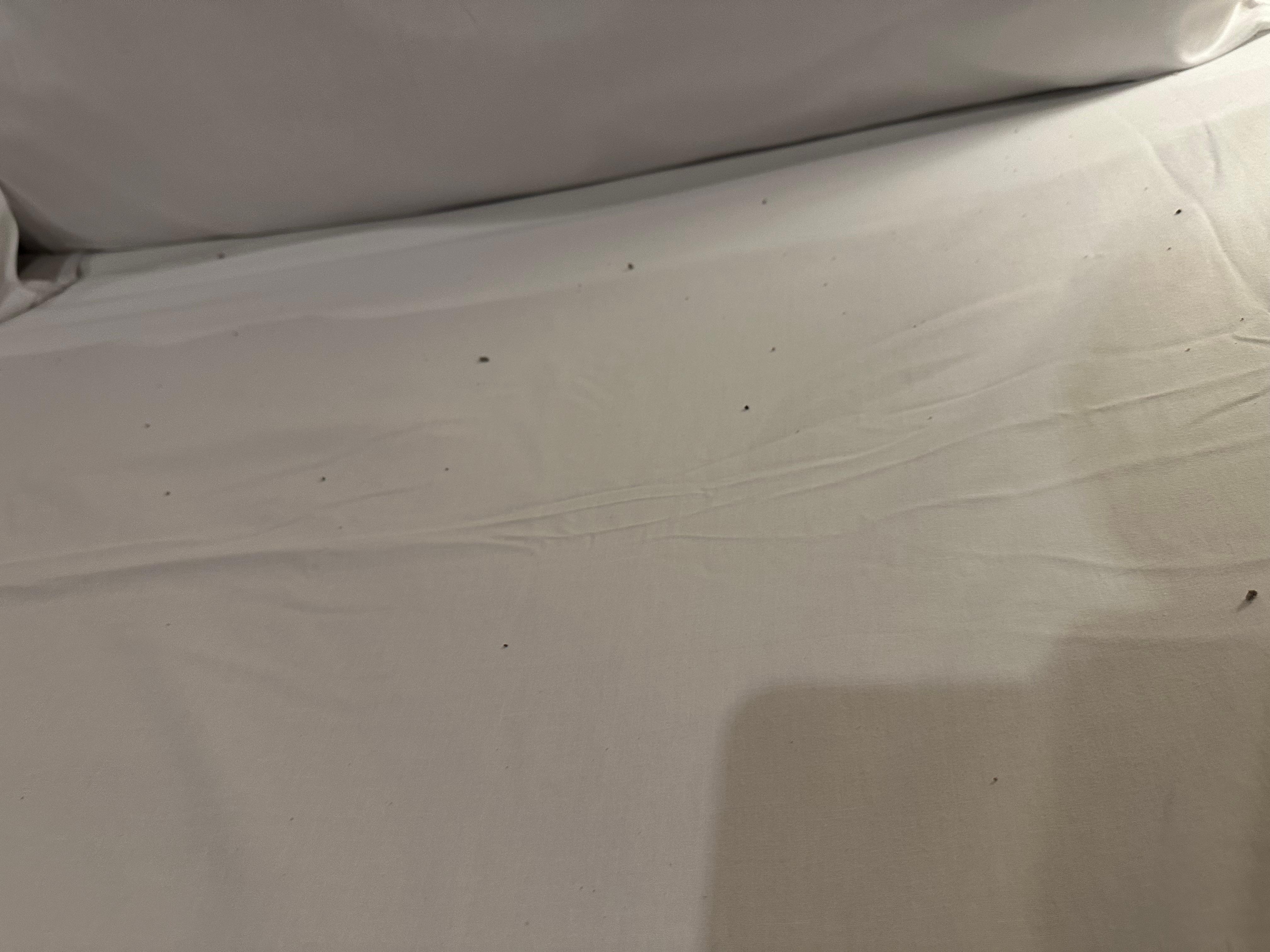 Dirty sheets