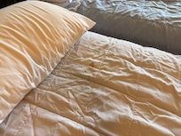 Found brown stains in bedding