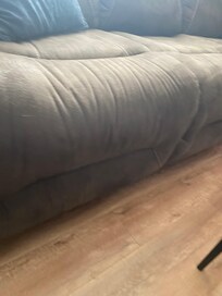 Hair on couch