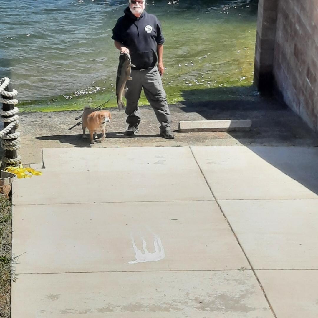 14.88 pound channel cat. 