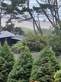 Manzanita Beach