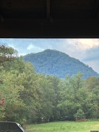 From the back porch