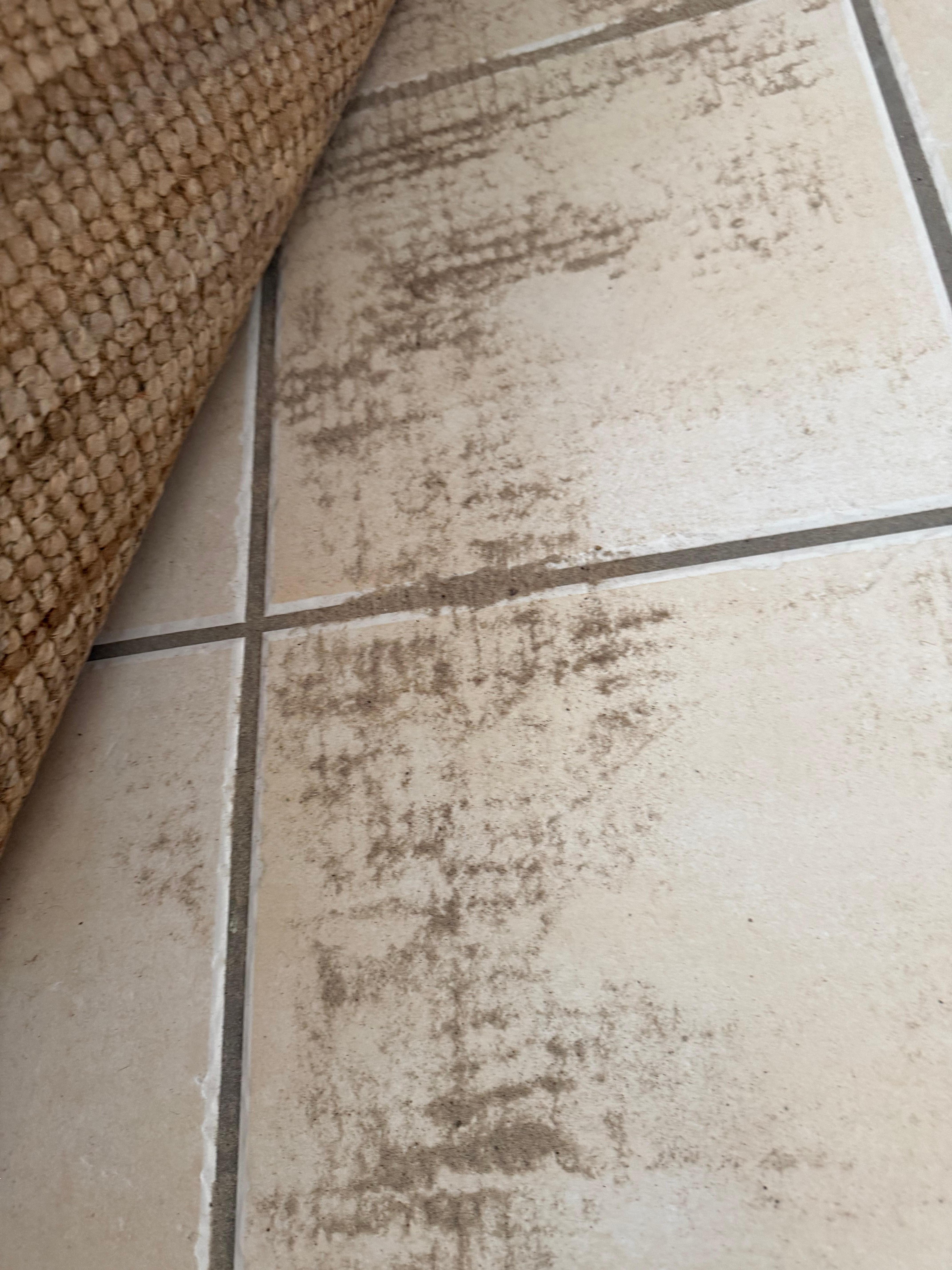 Sand under the mats in all rooms