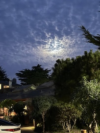 Lush greenery outside our room towards pool area