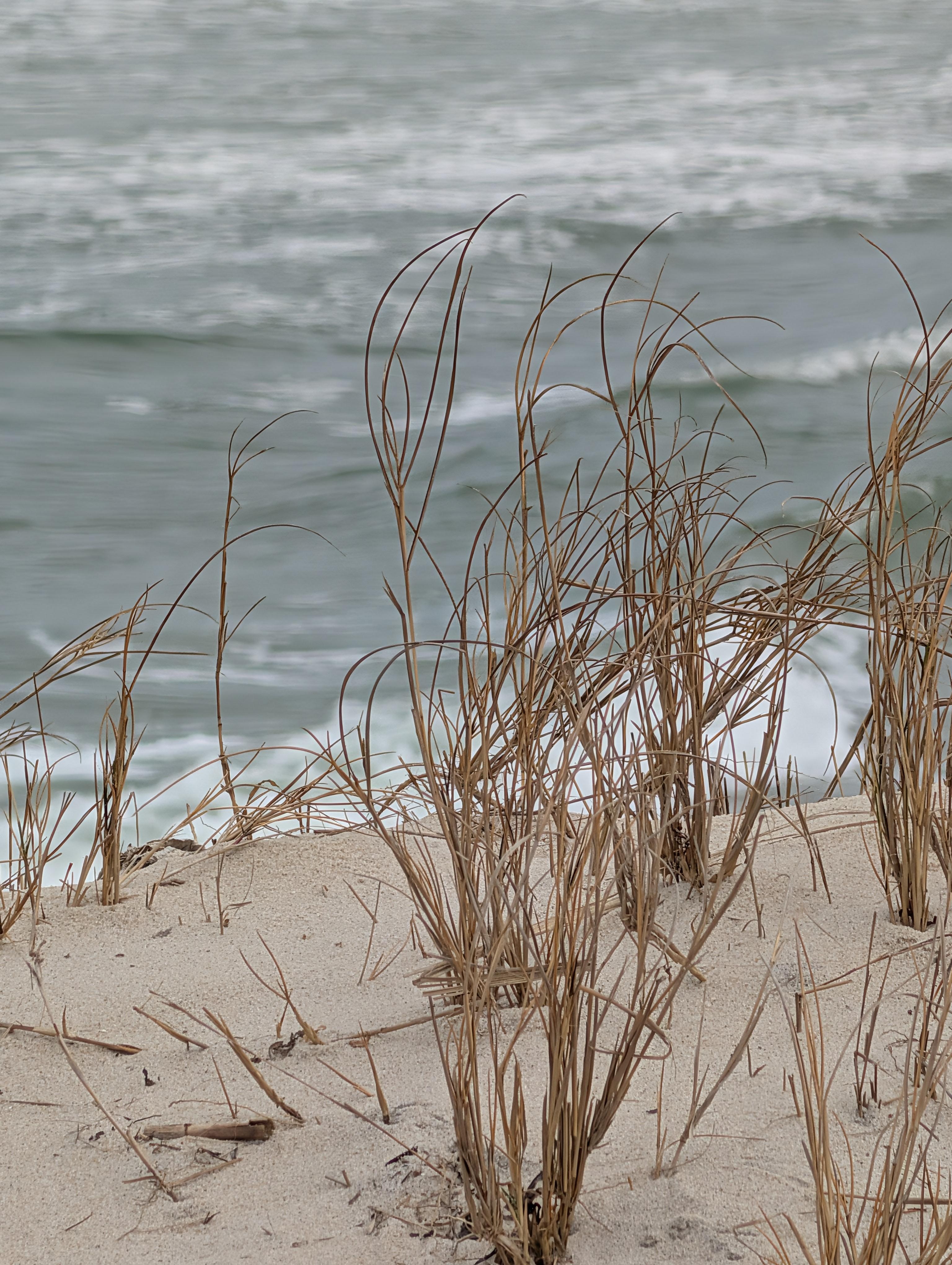 Nearby LBI beaches where we saw dolphins!