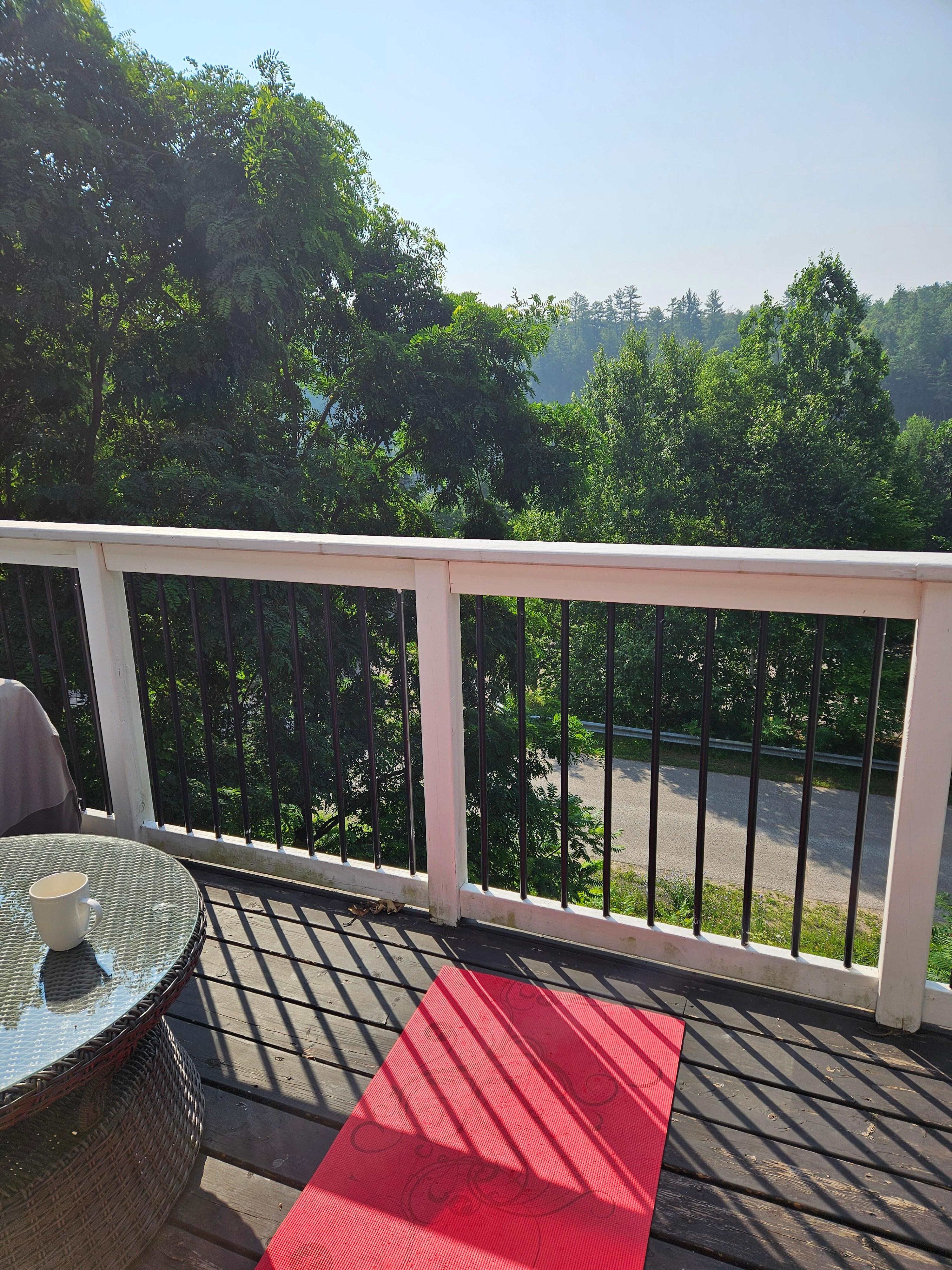 Epic spot for morning yoga with the birds chirping all around