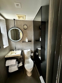 Badkamer met douche, toilet en wasbak