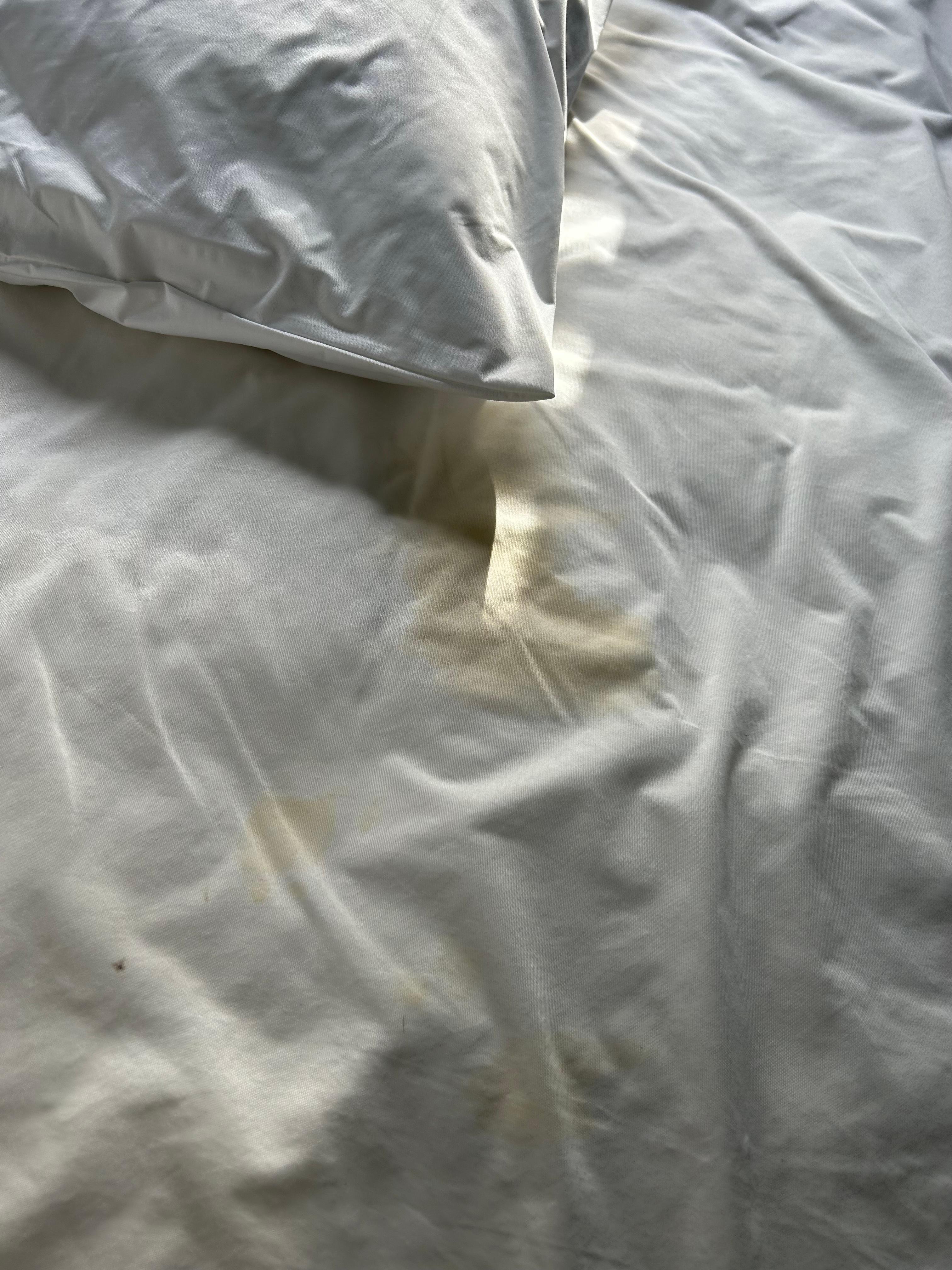 Stains on the mattress sheet after I stripped the bed
