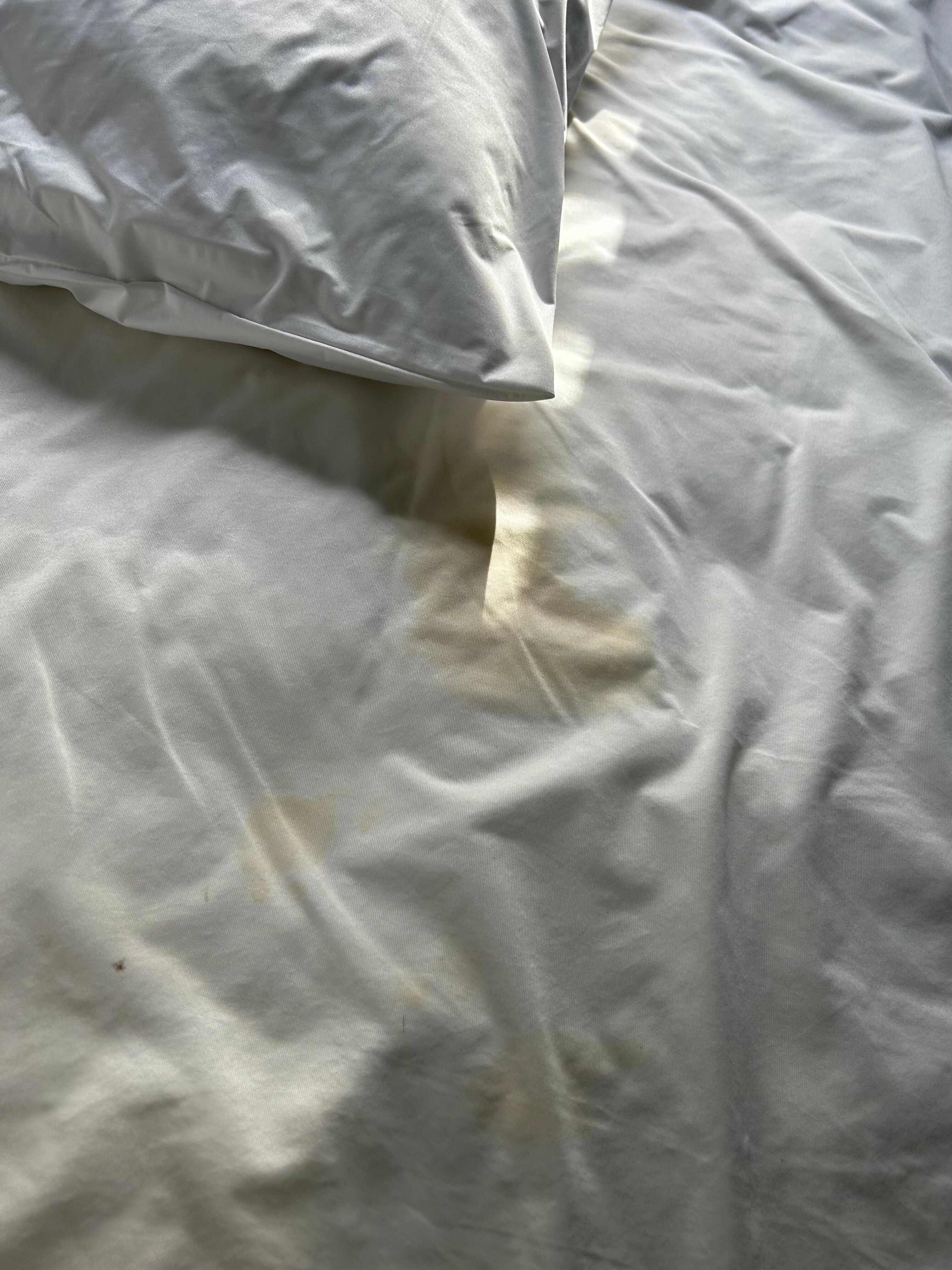 Stains on the mattress sheet after I stripped the bed